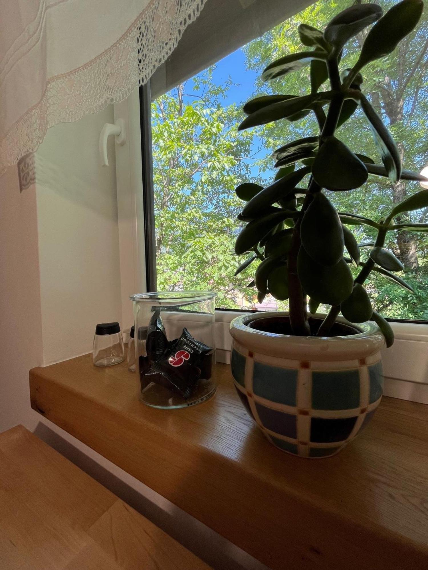 Azimut Hisa Apartment Толмин Екстериор снимка